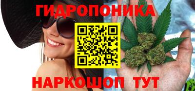 бошки Аргун