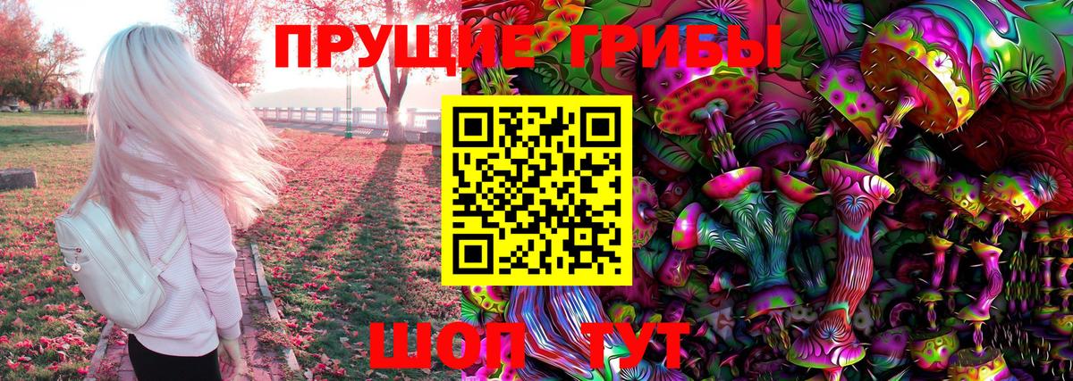 Галлюциногенные грибы Psilocybe Архангельск